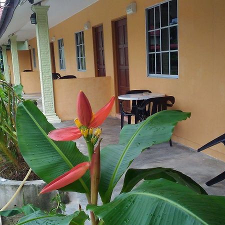 Tok Man Inn Langkawi Zewnętrze zdjęcie